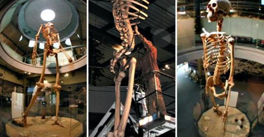 La storia nascosta rivelò scheletri giganti alti 7 metri