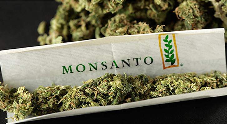 Monsanto e Bayer si adoperano per conquistare l'industria della cannabis