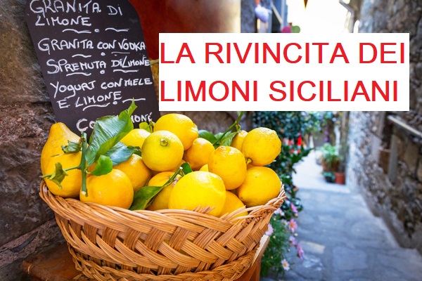 la rivincita dei limoni siciliani