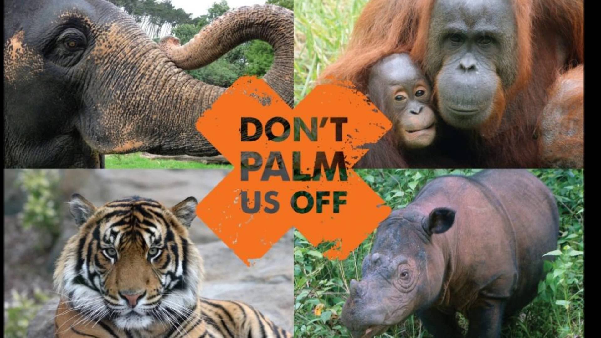 pubblicità olio di palma sostenibile